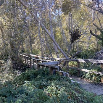 San Simeon State Park & Campground - One of the bridges on the hiking trail. - Parks Near Me - Cambria, California San Simeon State Park & Campground - One of the bridges on the hiking trail. - Parks Near Me - Cambria, California