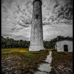 The Pelican - The Light House
