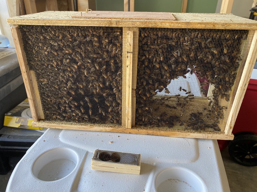 BAILEY BEE SUPPLIES Updated July 2024 147 Boone Square St