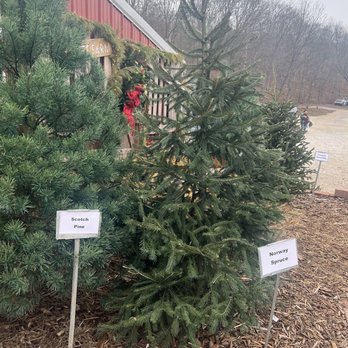Meert Tree Farm - Christmas Trees Near Me - Festus, Missouri