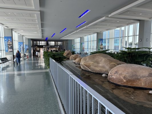 McGhee Tyson Airport by null