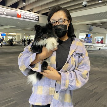 Something to wag about - Pet Transportation Near Me Something to wag about - Pet Transportation Near Me