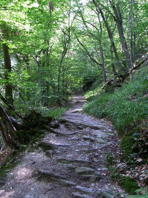 Hotel - Restaurant - Café Castle Liebenstein by null