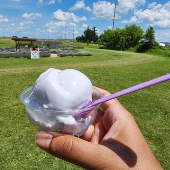 New Life Lavender & Cherry Farm - Lavender ice cream - Attraction Farms Near Me - Baraboo, Wisconsin New Life Lavender & Cherry Farm - Lavender ice cream - Attraction Farms Near Me - Baraboo, Wisconsin