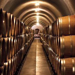 Napa Valley Wine Tours