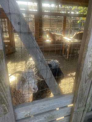 Moonwater Farm by null