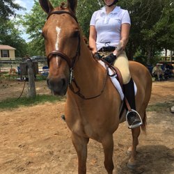 Misty Meadows Stable & Training Facility