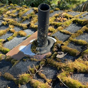 Mossaway - Moss can ruin your shingles! - Gutter Services Near Me Mossaway - Moss can ruin your shingles! - Gutter Services Near Me