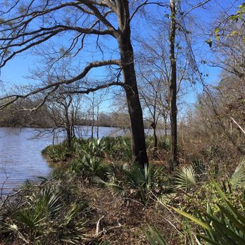 Forkland Campground - Great place to fish. - Campgrounds Near Me - Forkland, Alabama
