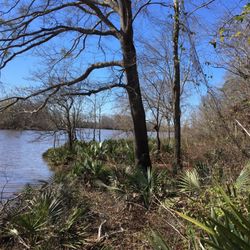Forkland Campground - Great place to fish.