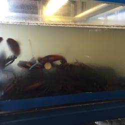 Ming's Food - Live