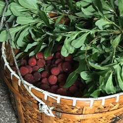 China Restaurant Peking - China Erdbeeren 杨梅