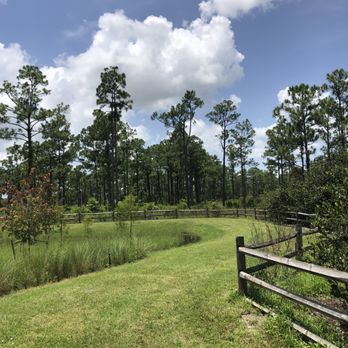Acreage Pines Natural Area - Parks Near Me - West Palm Beach, Florida Acreage Pines Natural Area - Parks Near Me - West Palm Beach, Florida