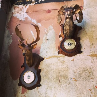 Double Barrel Tavern by null