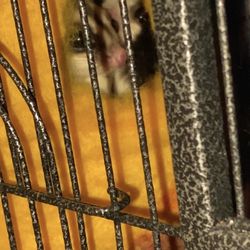 Plowshare Gift Shop - Bird house Sugar glider house