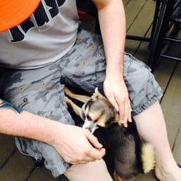 The house dog Rambo :) The house dog Rambo :)