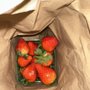 Photo of Daily Harvest Express