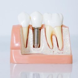 Star Dental - Photo