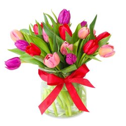 Reebees Florists - Beautiful mixed Tulips available from Reebees Florist Pensby, Heswall.Same day delivery available across the Wirral
0151-648-6500