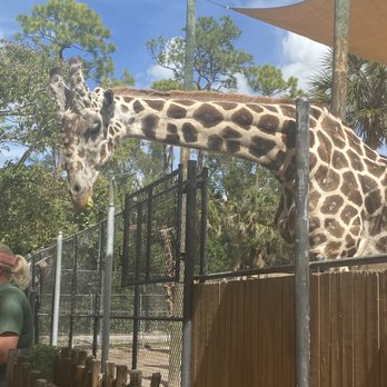 Naples Zoo - Zoos Near Me - Naples, Florida