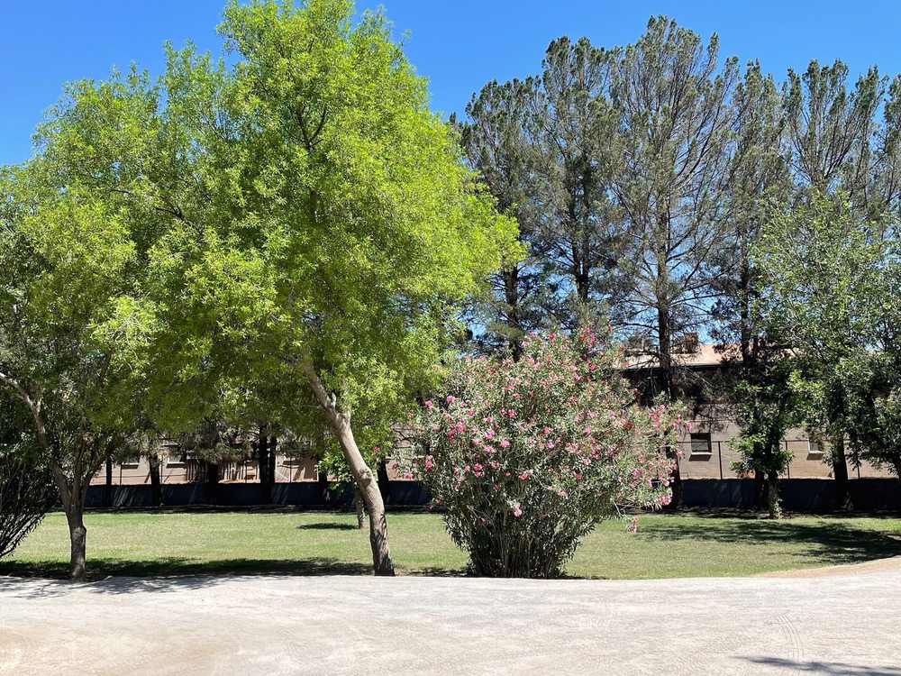 Reynolds Home - social services organization in El Paso, TX