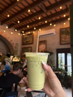 Café Botánico by null