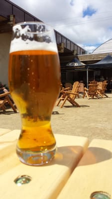 Belching Beaver Brewery Tavern and Grill (Downtown Vista) by null