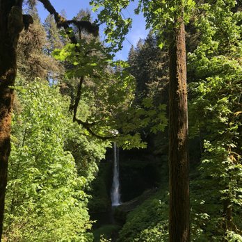 Silver Falls State Park - So many waterfalls! - Hiking Near Me - Sublimity, Oregon Silver Falls State Park - So many waterfalls! - Hiking Near Me - Sublimity, Oregon