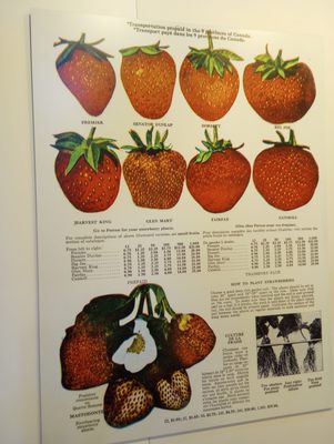 Canada Agriculture and Food Museum by null