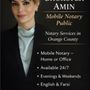 Amin Iranian Law