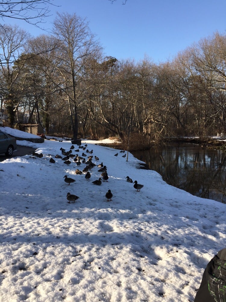 DUCK POND Updated August 2024 99 Tower St, West Sayville, New York