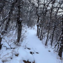 Blodgett Peak