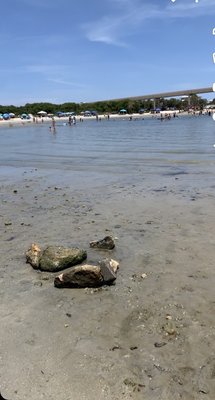 Sebastian Inlet State Park by null