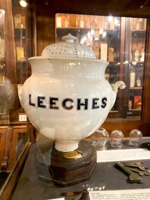 New Orleans Pharmacy Museum by null