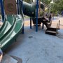 Photo of Haas Park