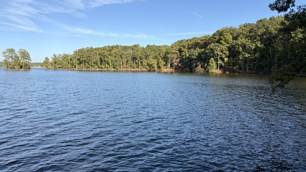Dreher Island State Park by null