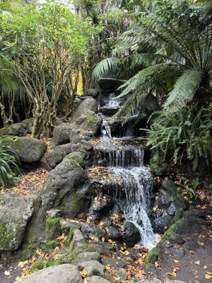 Fitzroy Gardens by null