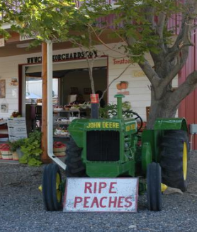Clark Family Orchards by null