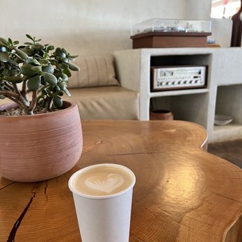 Palomino Coffee - Coffee & Tea Near Me - Austin, Texas