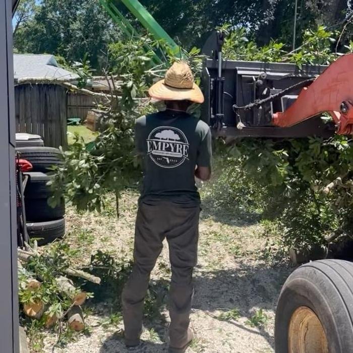 Empyre Tree Service and Landscaping - tree service in Orlando, FL