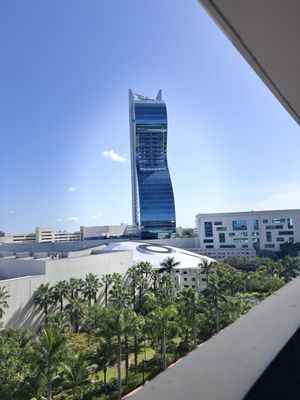 Council Oak Steaks & Seafood (in Seminole Hard Rock Hollywood) by null