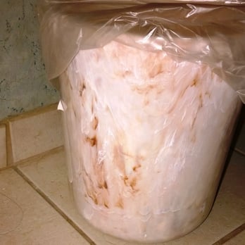 Harrah's Laughlin - A Caesars Rewards Destination - A FILTHY trash receptacle, in our restroom contained by an over-sized plastic bag - Hotels Near Me - Laughlin, Nevada