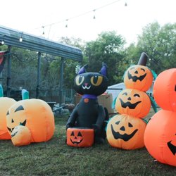 Levi’s Pumpkin Patch