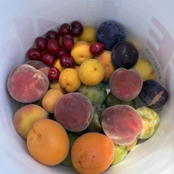 Rancho Zaragoza - Farmers Market Near Me - Brentwood, California Rancho Zaragoza - Farmers Market Near Me - Brentwood, California