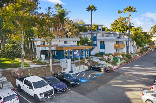 Trolley Palm by null