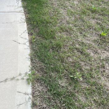 TruGreen Lawn Care - Tree Services Near Me - Suwanee, Georgia