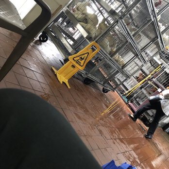 Live Poultry Market - a man working on the floor - Meat Shops Near Me - Staten Island, New York Live Poultry Market - a man working on the floor - Meat Shops Near Me - Staten Island, New York