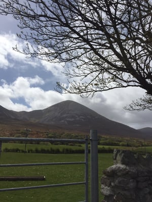 Croagh Patrick by null