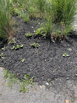 Triple J Property Maintenance Logo