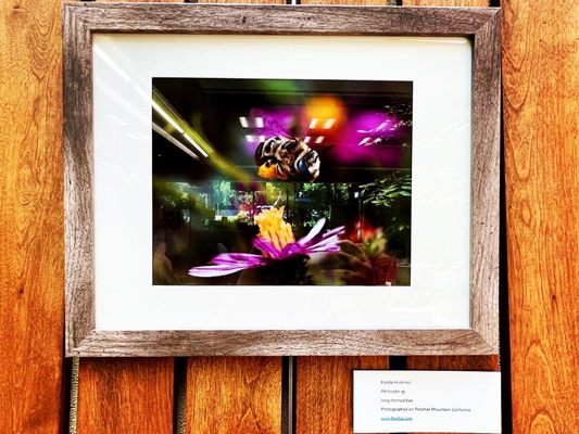 Altadena Library by null